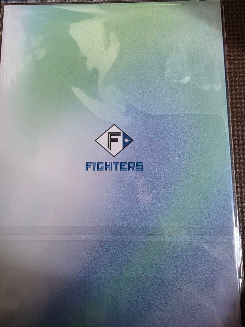 ト*ム様 FIGHTERS GIRL シーズンフォトブック　受注生産　現在入手不