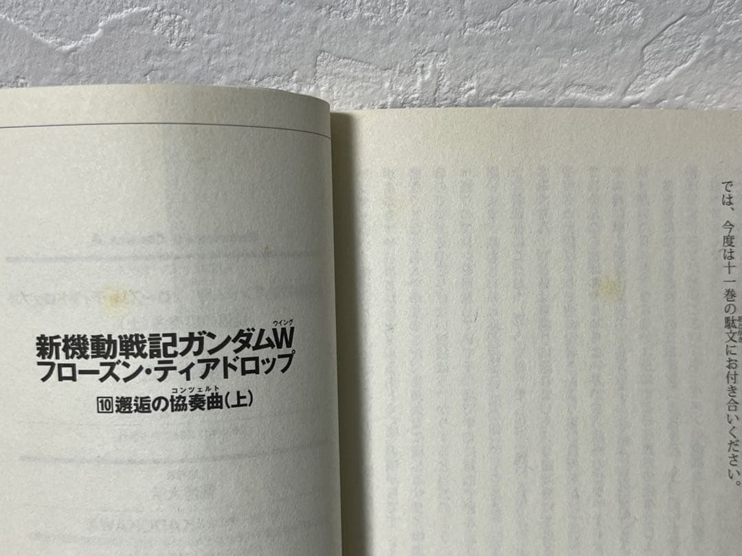 新機動戦記ガンダム W フローズン・ティアドロップ