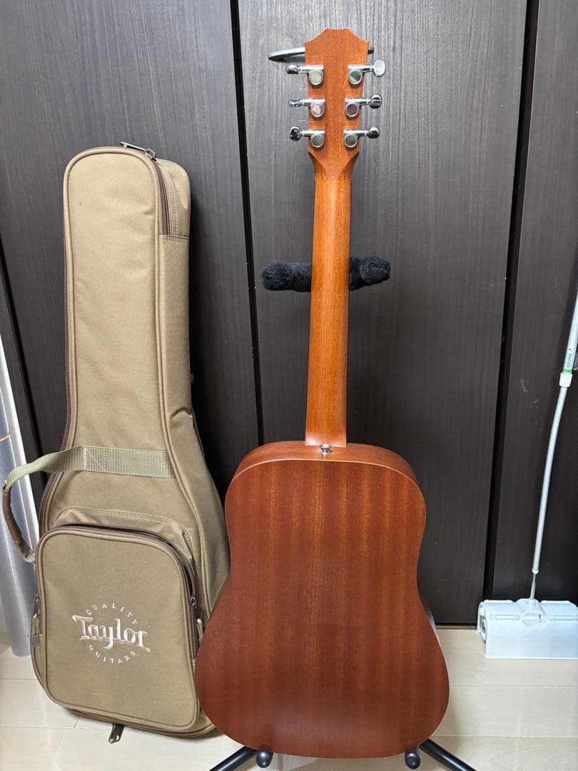 Taylor BT2E エレアコ