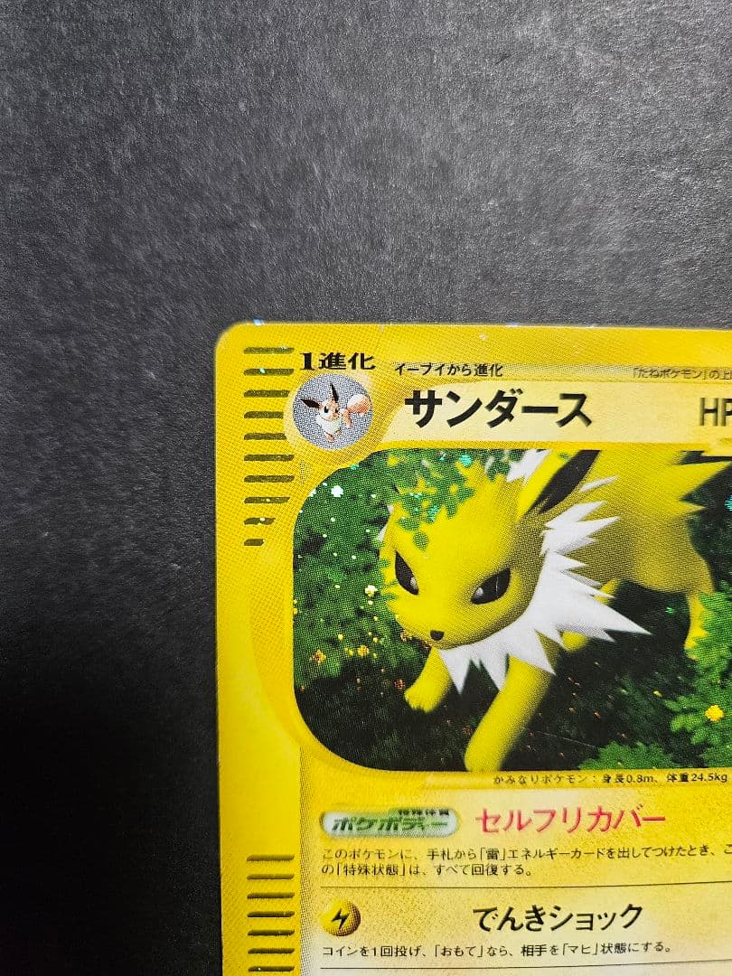 ホロ渦巻き有 サンダース eカード アンリミ 037/088