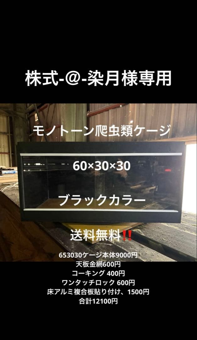 株式-＠-染月　653030