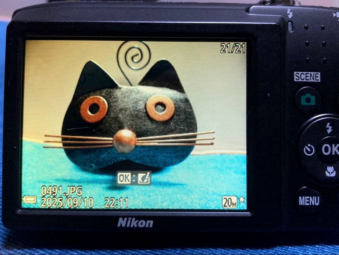 【動作品】Nikon クルーピクスS2900 シルバー