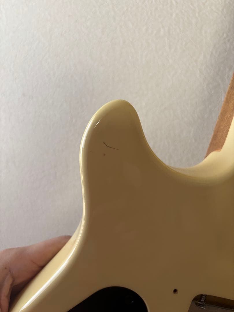 PeaveyWolfgang Special 、ハードケース付き