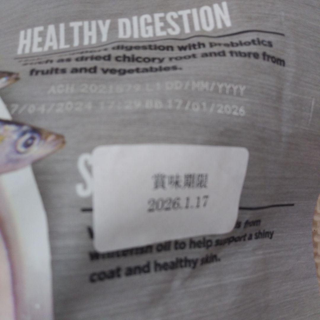 1/17 オリジン　レジオナルレッド　キャット　5.4kg