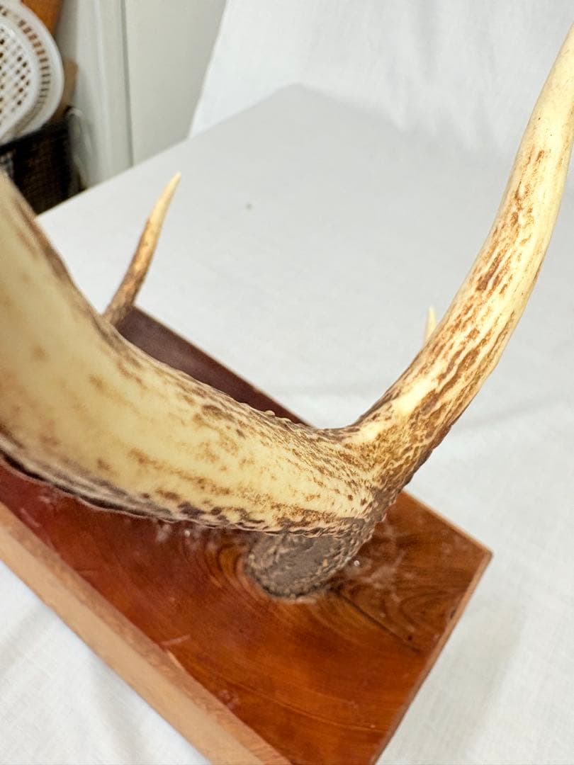 刀掛け 刀台 武具 刀置き インテリア 置物 日本刀 オブジェ 古美術 骨董