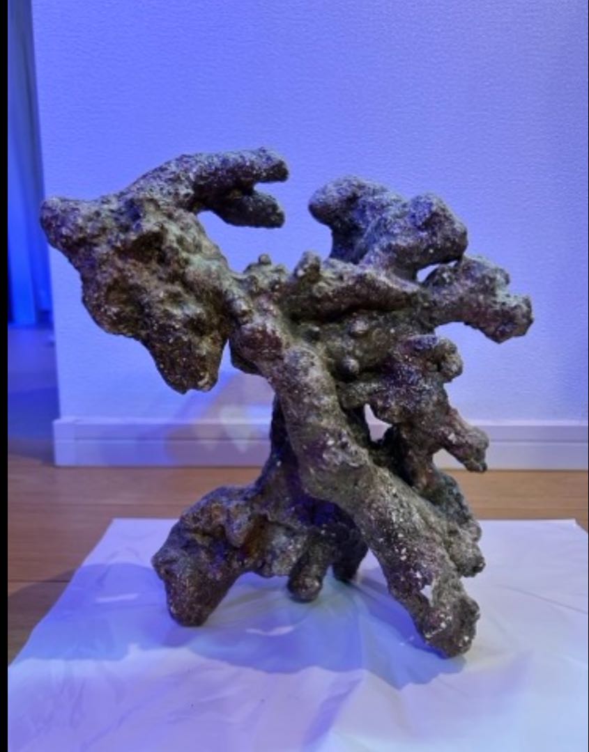 ライブロックモジュール　アクアリウム　擬岩