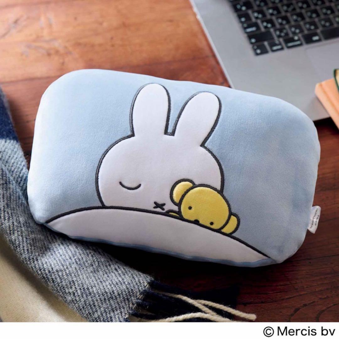 ちゅん太 管理 29 リンネル 2月号 付録