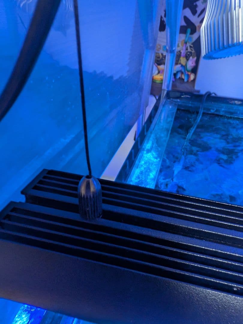 ZOOX アクティニックシャイナー90