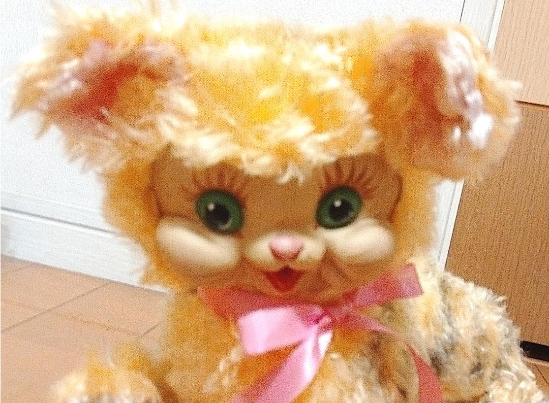 ラシュトン・ラバーフェイス・ラバードール　猫ちゃん