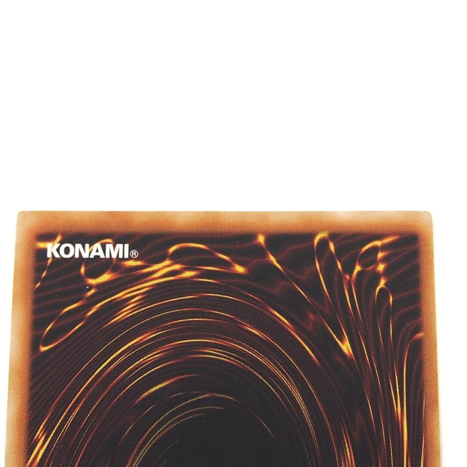 遊戯王 真紅眼の闇竜 レリーフ