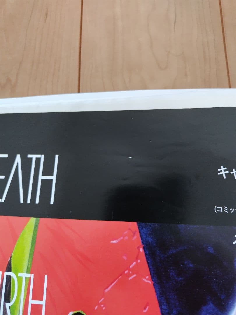 非売品 エヴァンゲリオン ポスター2枚セット