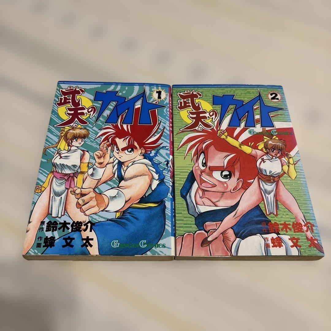 武天のカイト 1巻 2巻 セット【初版あり】