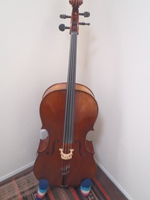 ❤️Roderich Paesold No.603 1995 チェロ +ケース