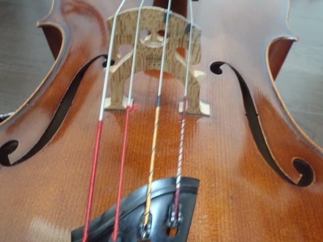 ❤️Roderich Paesold No.603 1995 チェロ +ケース