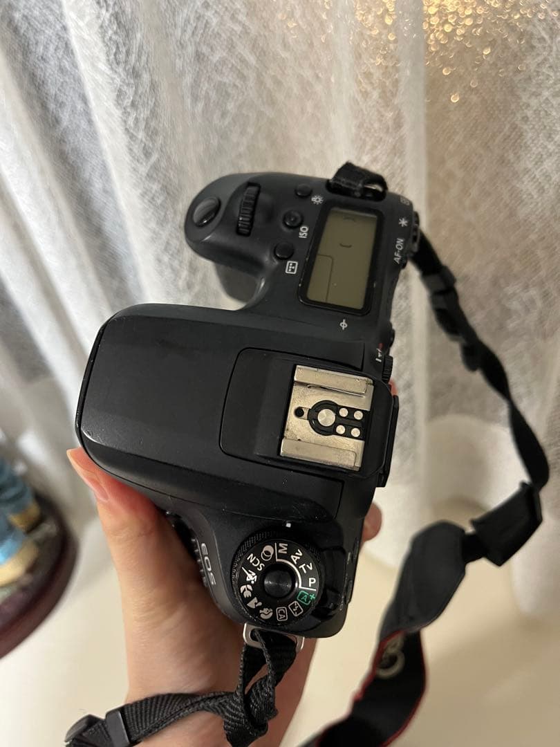 本日のみ値下げ！Canon EOS 9000D ボディ