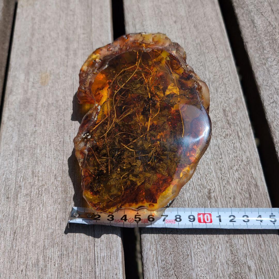 琥珀　化石　塊