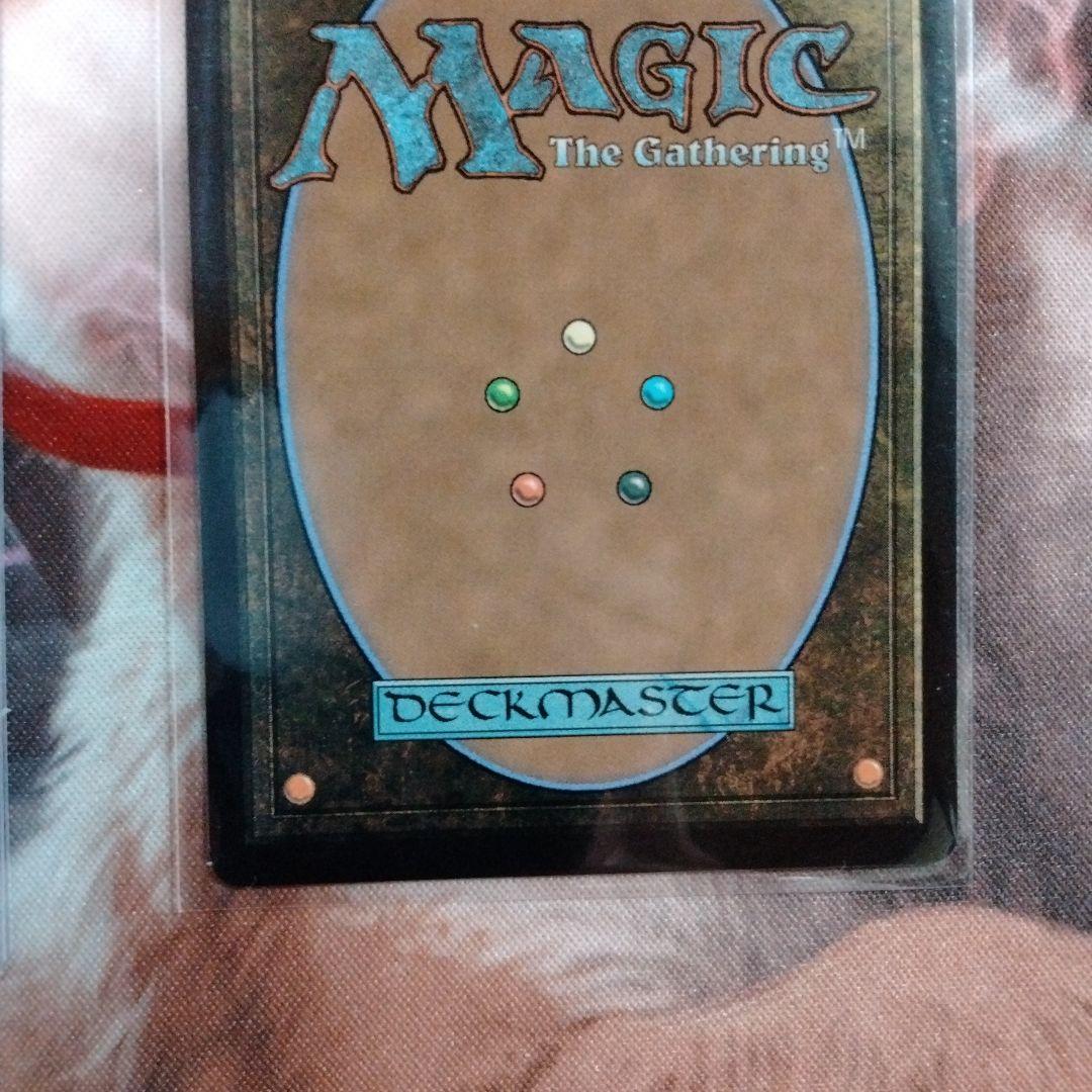 MTG 魔導の力を持つ少女、ティナ ボーダーレス　204 英語版