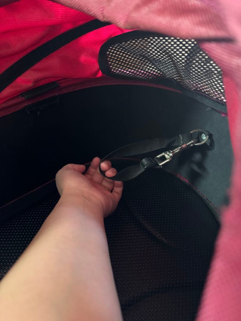 エアバギー ドーム2 Mサイズ