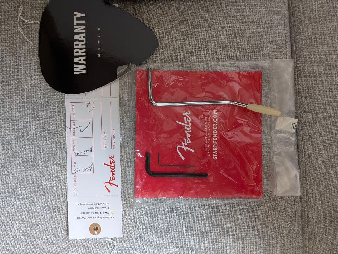 (レイ) Fender Player Plus Stratocaster