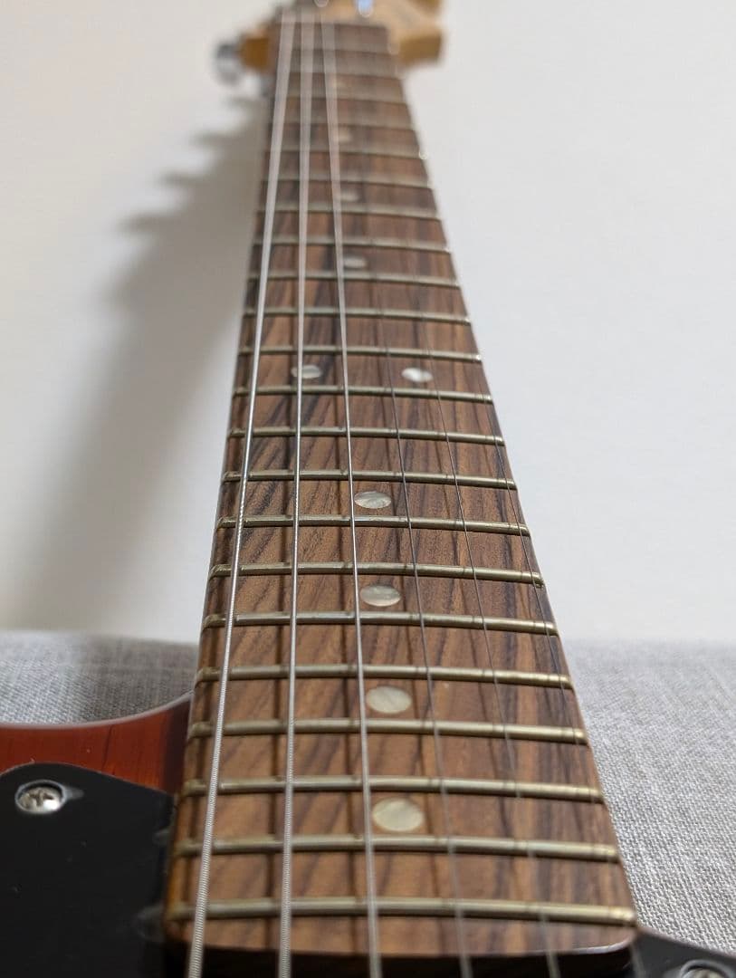 (レイ) Fender Player Plus Stratocaster