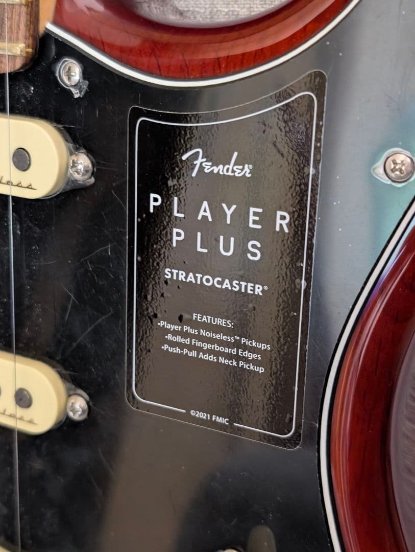 (レイ) Fender Player Plus Stratocaster