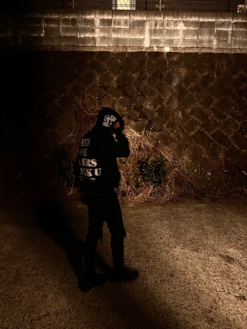 トップス flexwitme