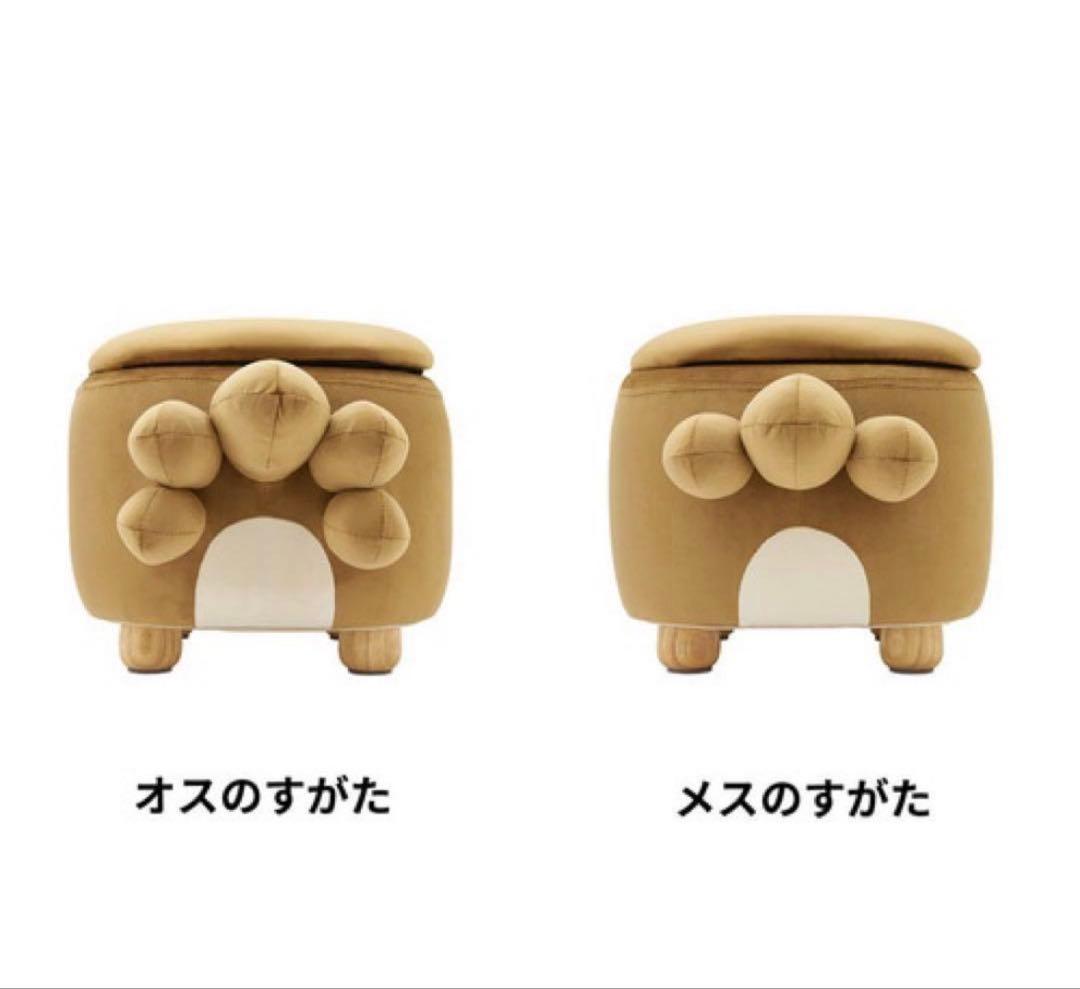 【ビッパ】ポケモンセンター受注生産 ポケモンスツール　ビッパ メスの姿