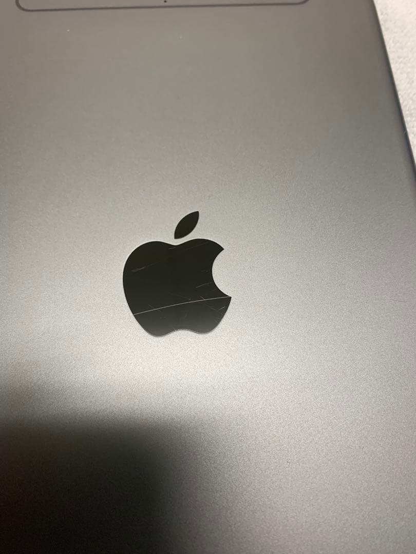 iPad本体 iPad mini5 256GB Cellular