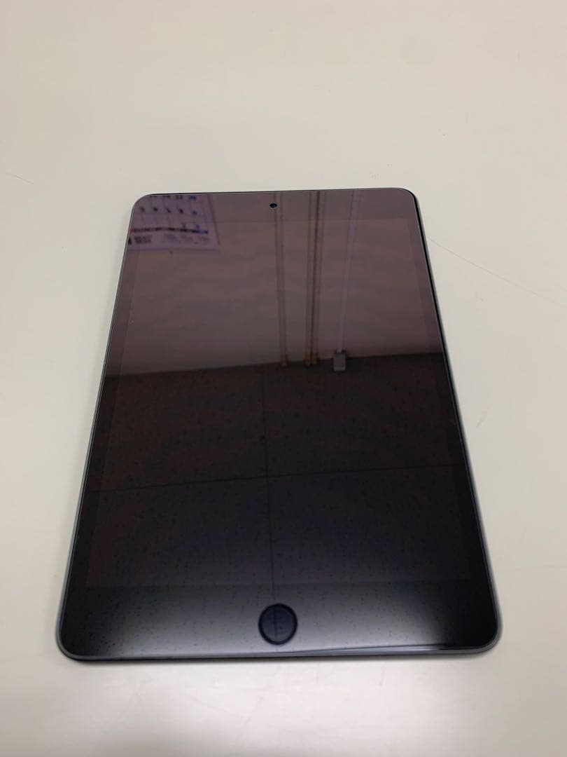 iPad本体 iPad mini5 256GB Cellular