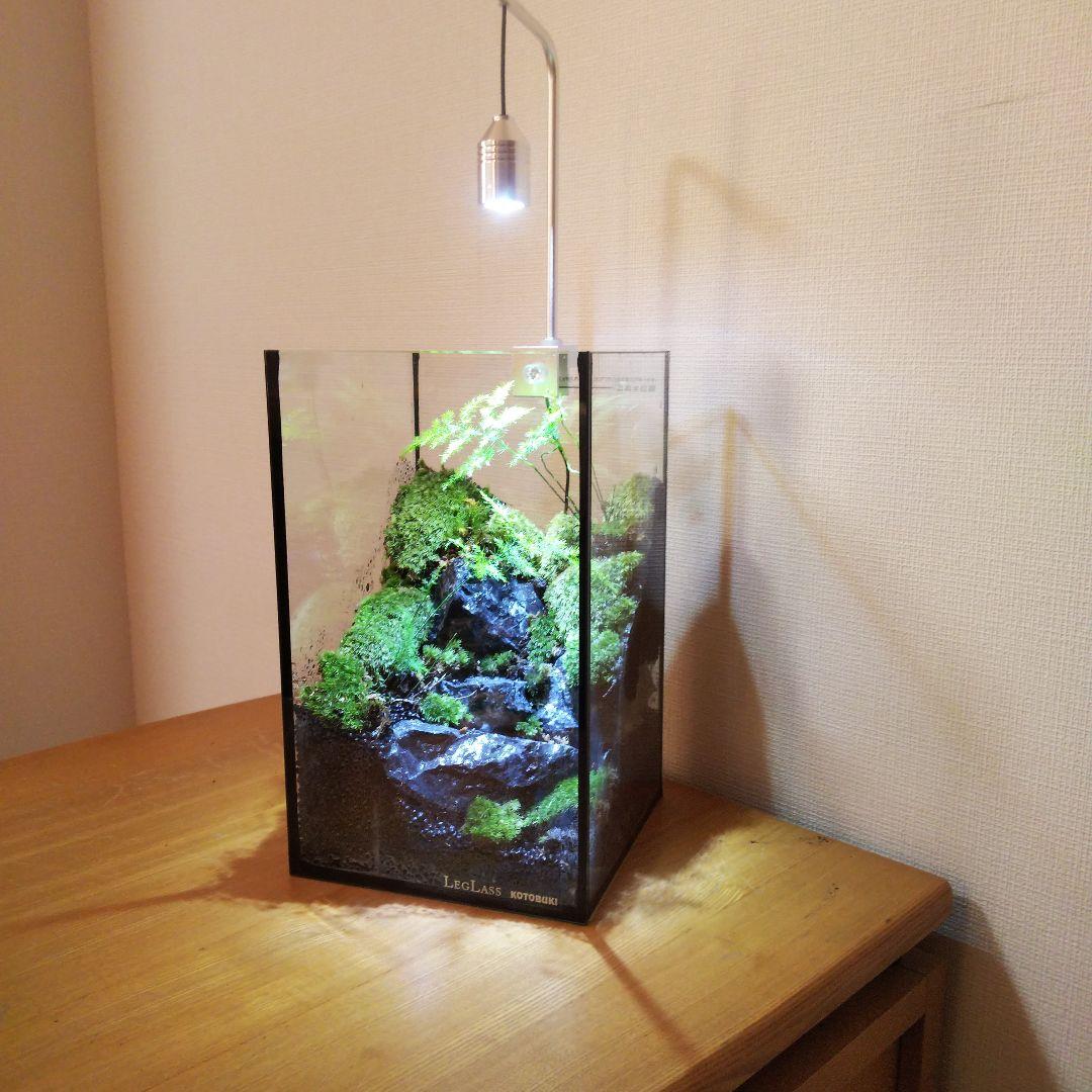 【オーダーメイド】滝のあるアクアテラリウム　苔テラリウム　アクアリウム