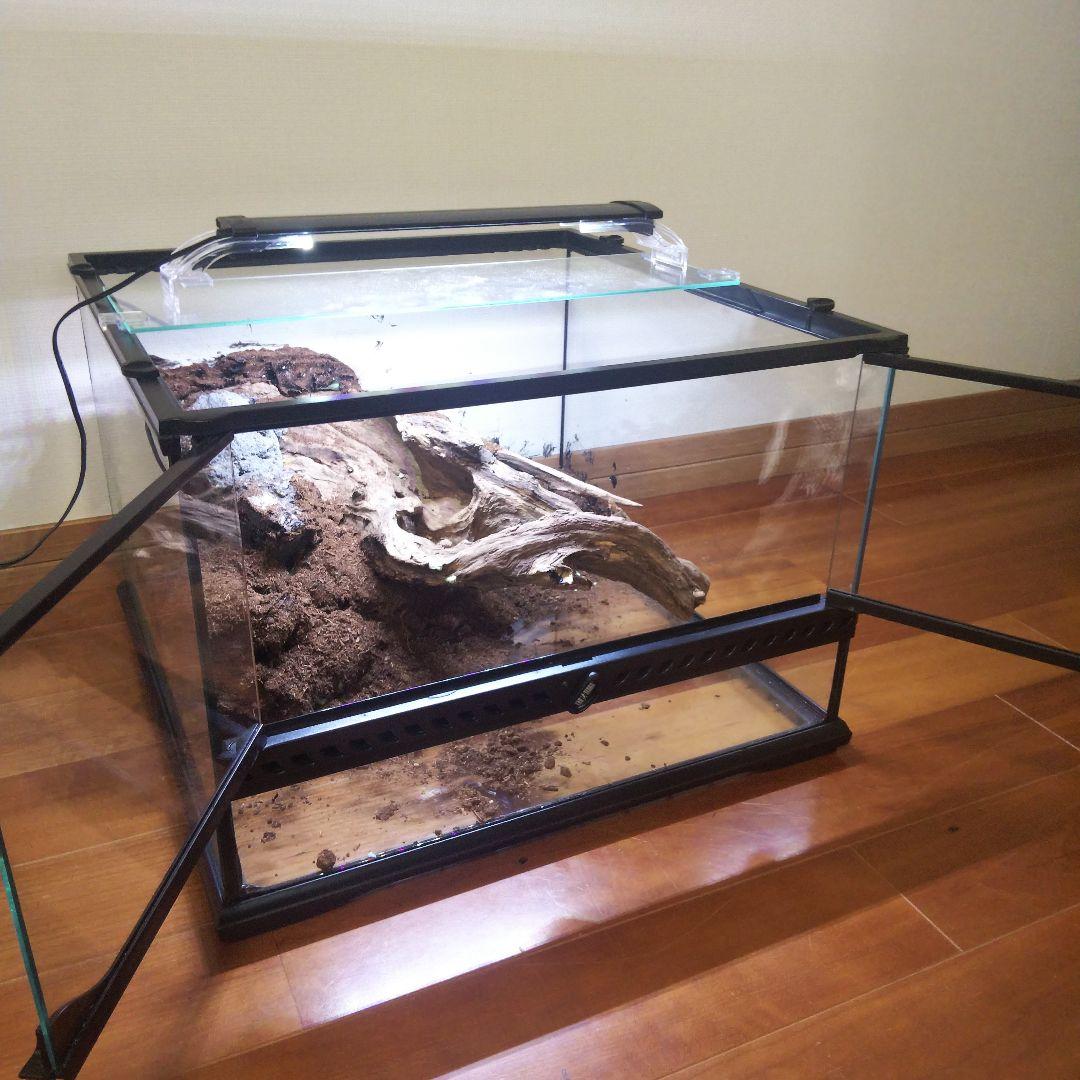 【オーダーメイド】滝のあるアクアテラリウム　苔テラリウム　アクアリウム