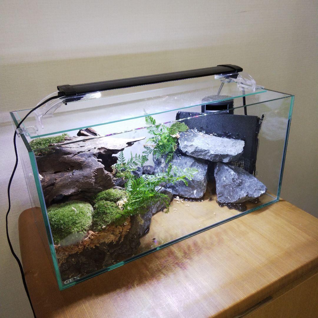 【オーダーメイド】滝のあるアクアテラリウム　苔テラリウム　アクアリウム