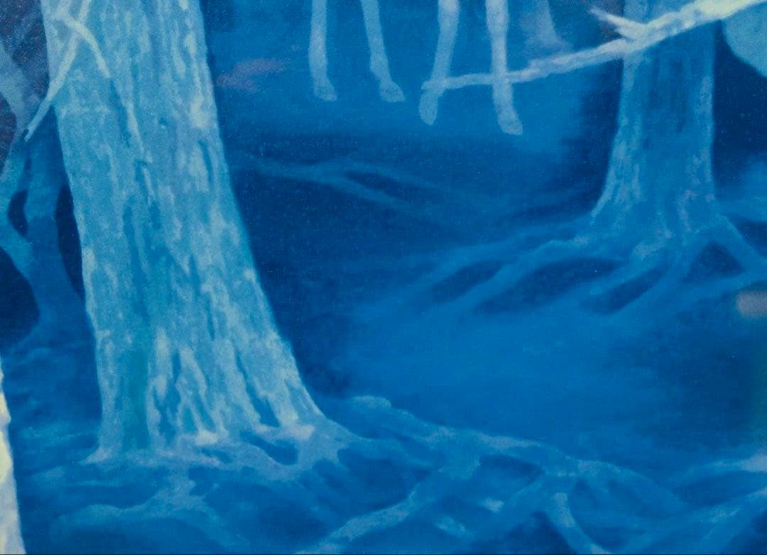 東山魁夷 白馬の森 リトグラフ 額装 求龍堂 新復刻画 限定 版画 馬 白い馬