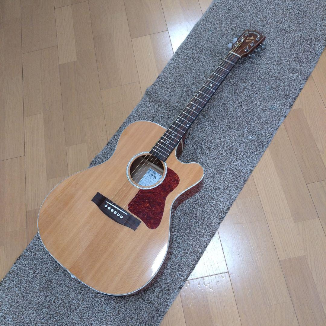 Headway エレアコ HOC-580SE JAPAN TUNE UP ギター