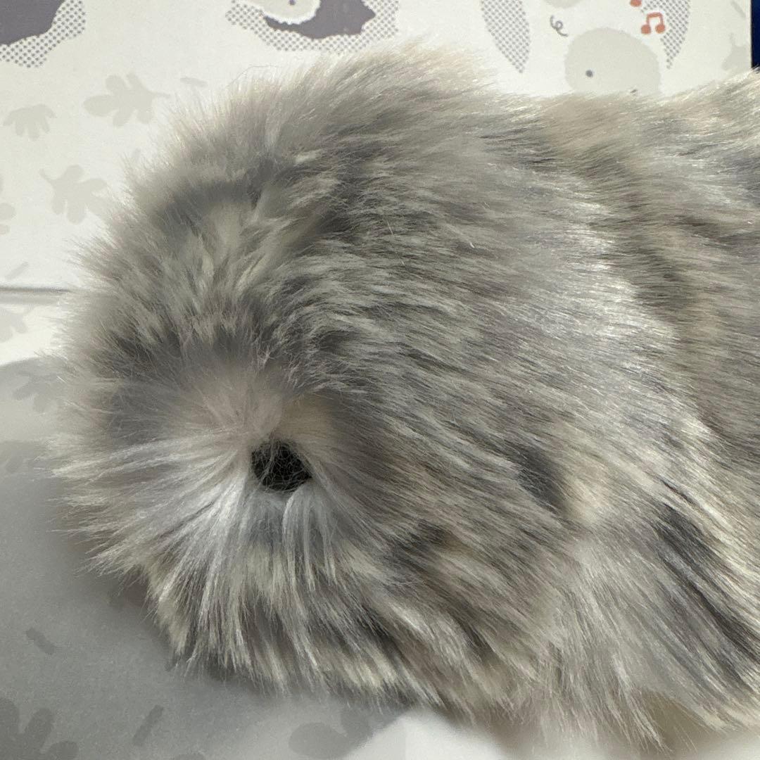 中古モフリン　シルバー　キャリーケース付き