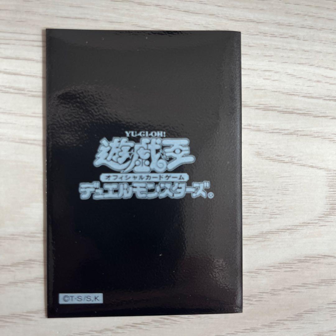 遊戯王　レッドアイズ・ブラックドラゴン(真紅眼の黒竜)