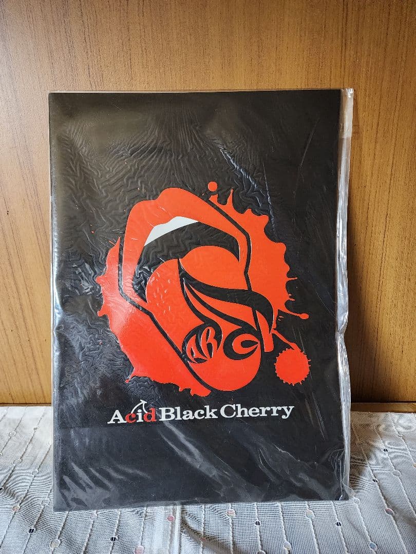 Janne Da Arc パンフレット 写真集 21冊 まとめ売り