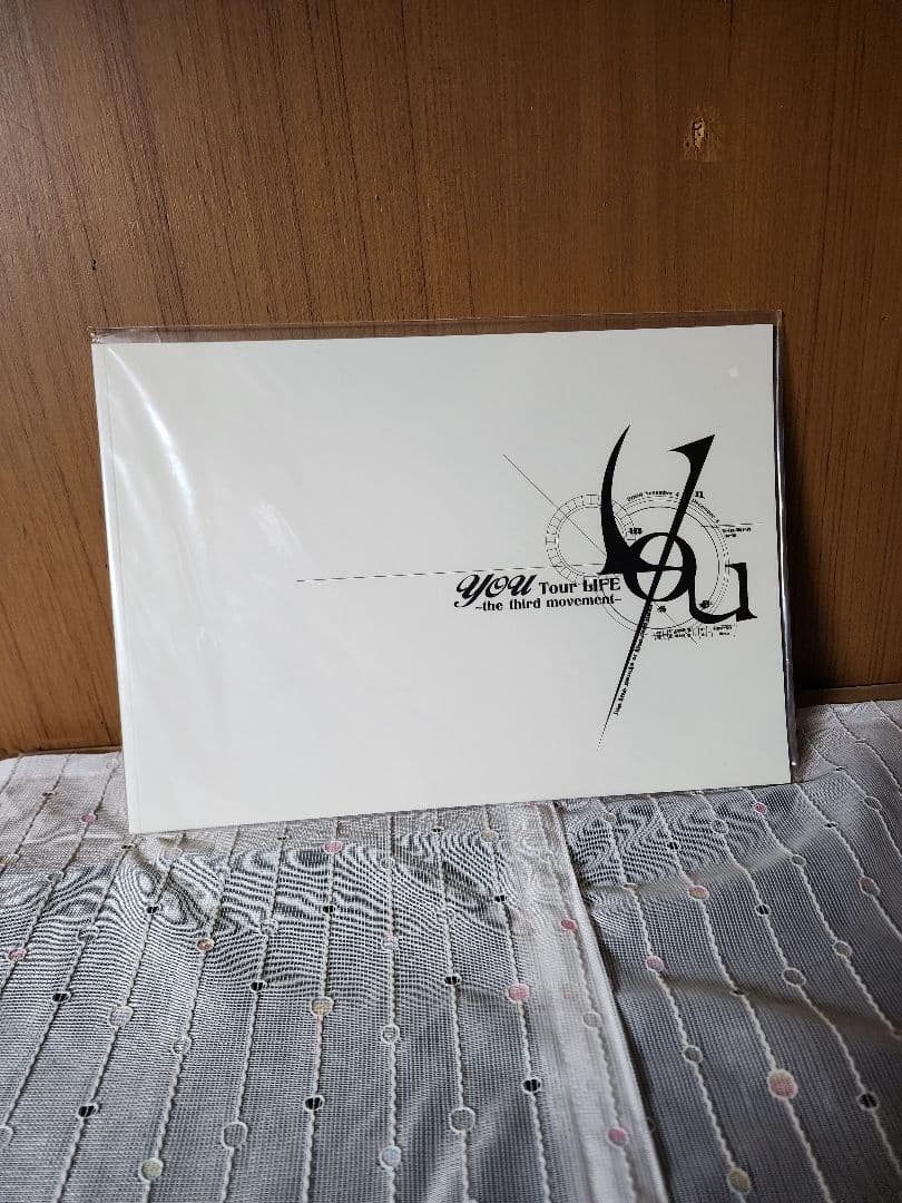 Janne Da Arc パンフレット 写真集 21冊 まとめ売り