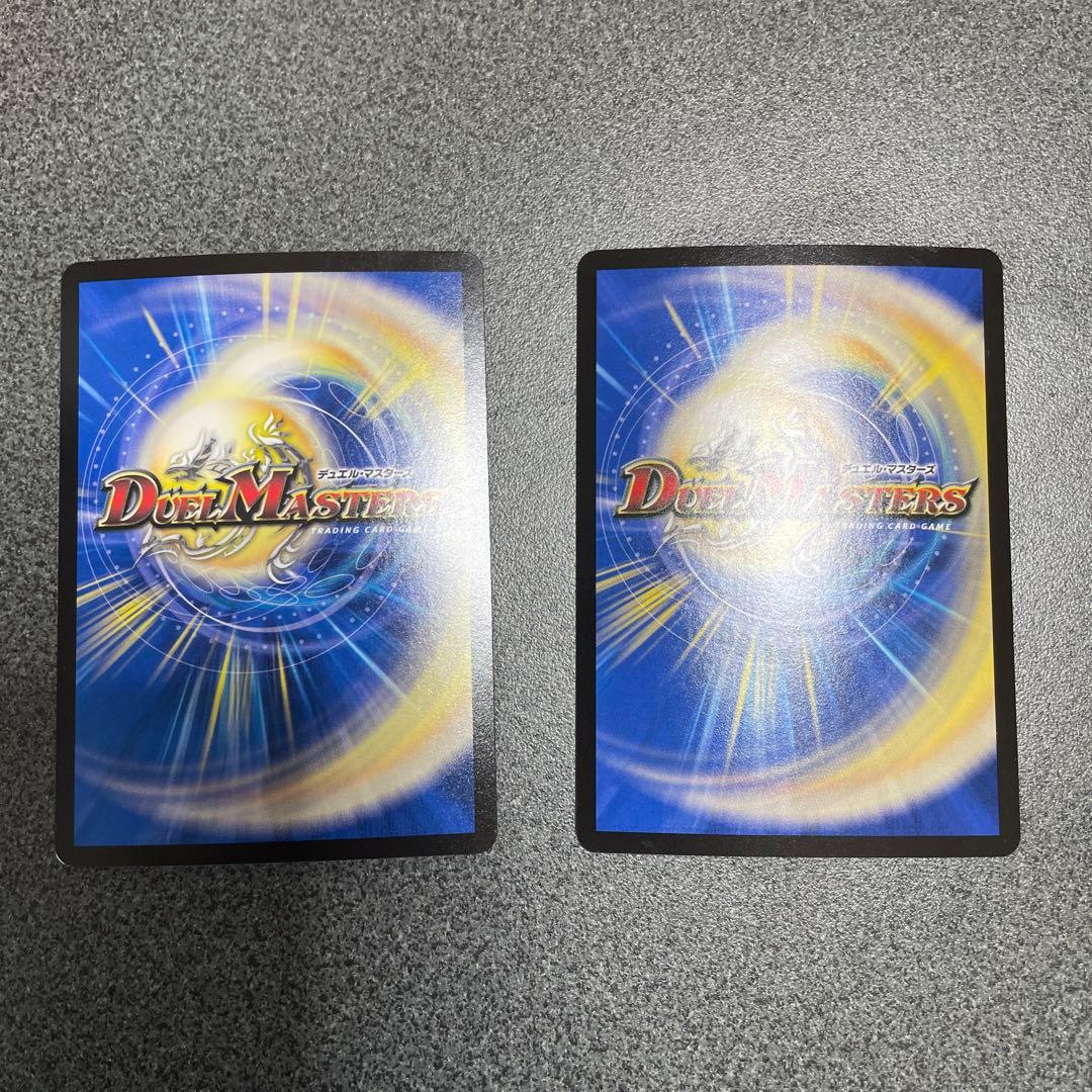 真気槌と誠感の決断 パーフェクトペテンシー　2枚