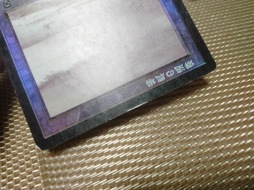 【ご確認用】メルカディアン・マスクス foil 僻遠の農場 日本語 1枚　MTG