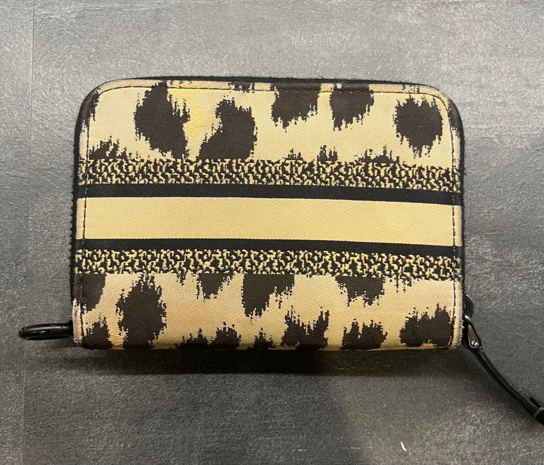 CHRISTIAN DIOR ヒョウ柄ケース