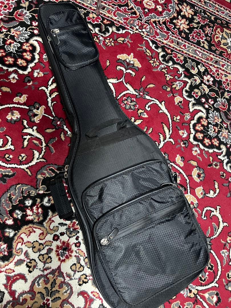 【希少】PRS SE Cnstom 22 セミホロウ　P-90タイプ