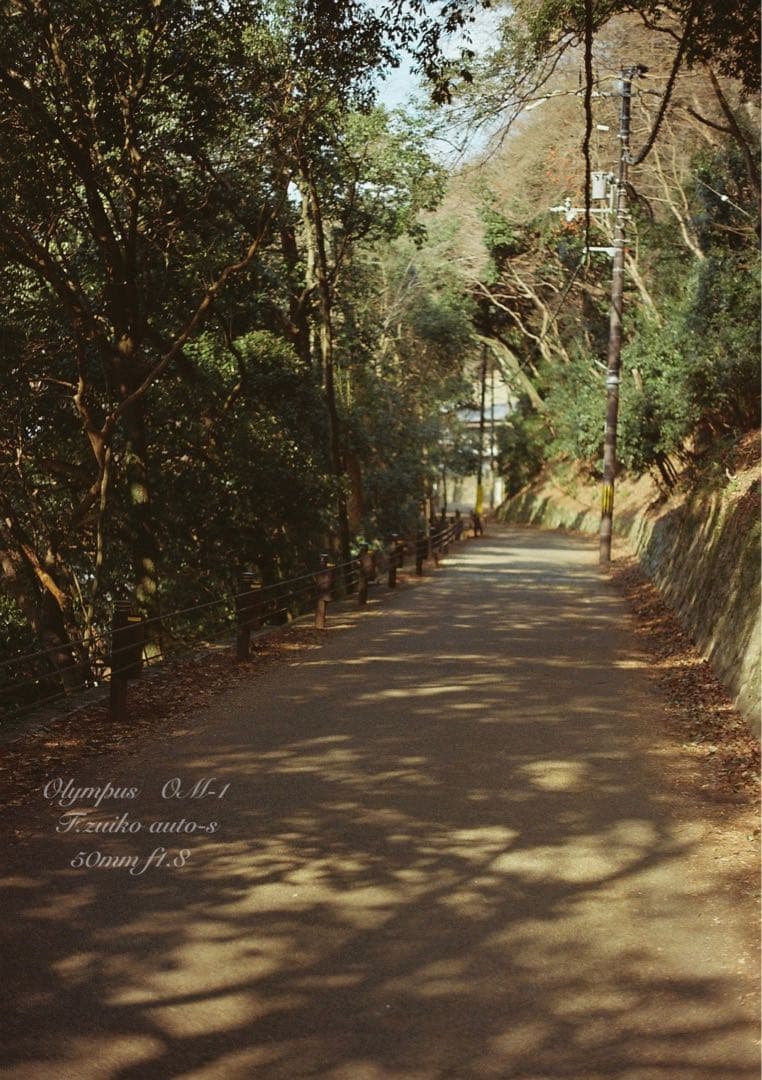 ★★★Andrewさま専用★★★