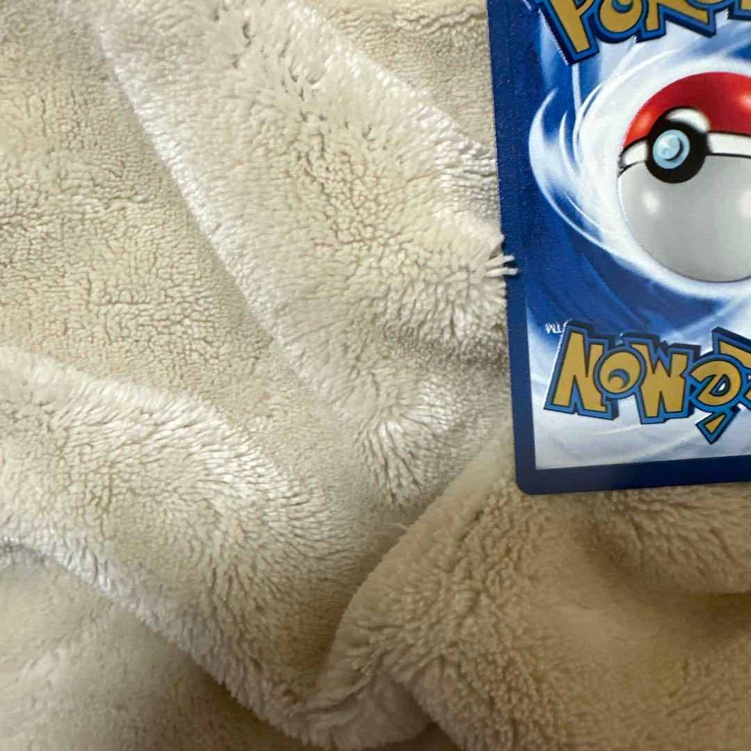 リザードン　海外　ステンレス　美品