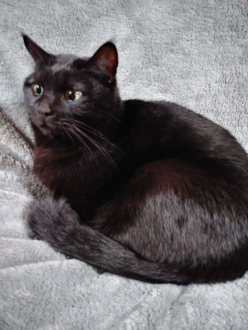 ♡いちご泥棒♡おまとめ