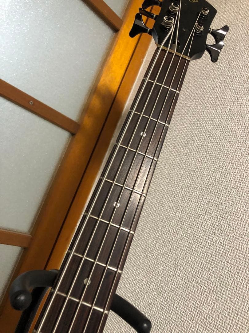 SPECTOR 5弦ベース　マットブラック　韓国製(推定)