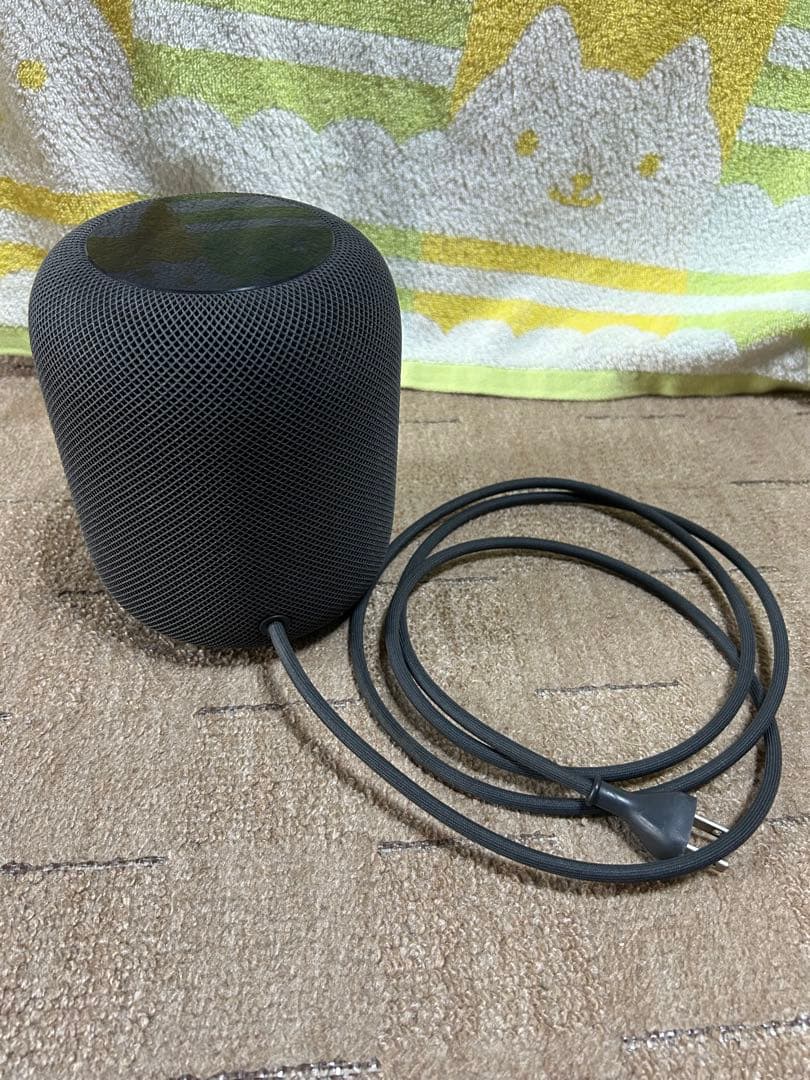 Apple Pod ブラック MQHW2J/A （第一世代）