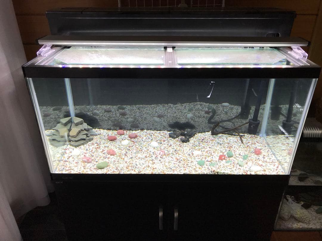 GEX 90cmレギュラーガラス水槽