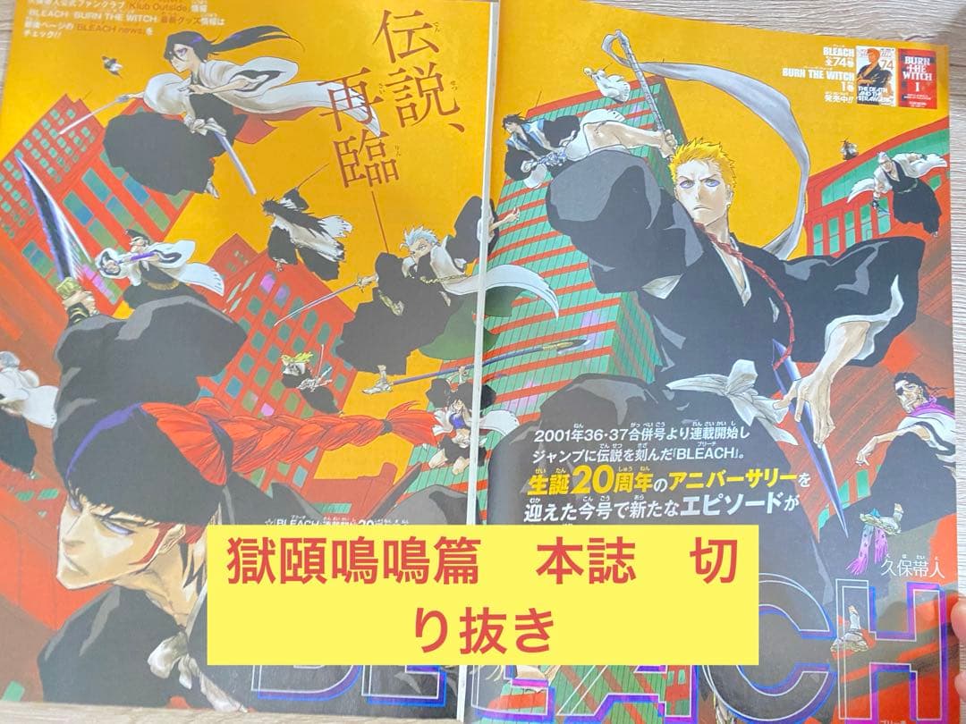 bleach ブリーチ　獄頤鳴鳴篇　本誌　切り抜き　黒崎一護