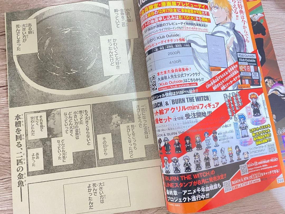 bleach ブリーチ　獄頤鳴鳴篇　本誌　切り抜き　黒崎一護